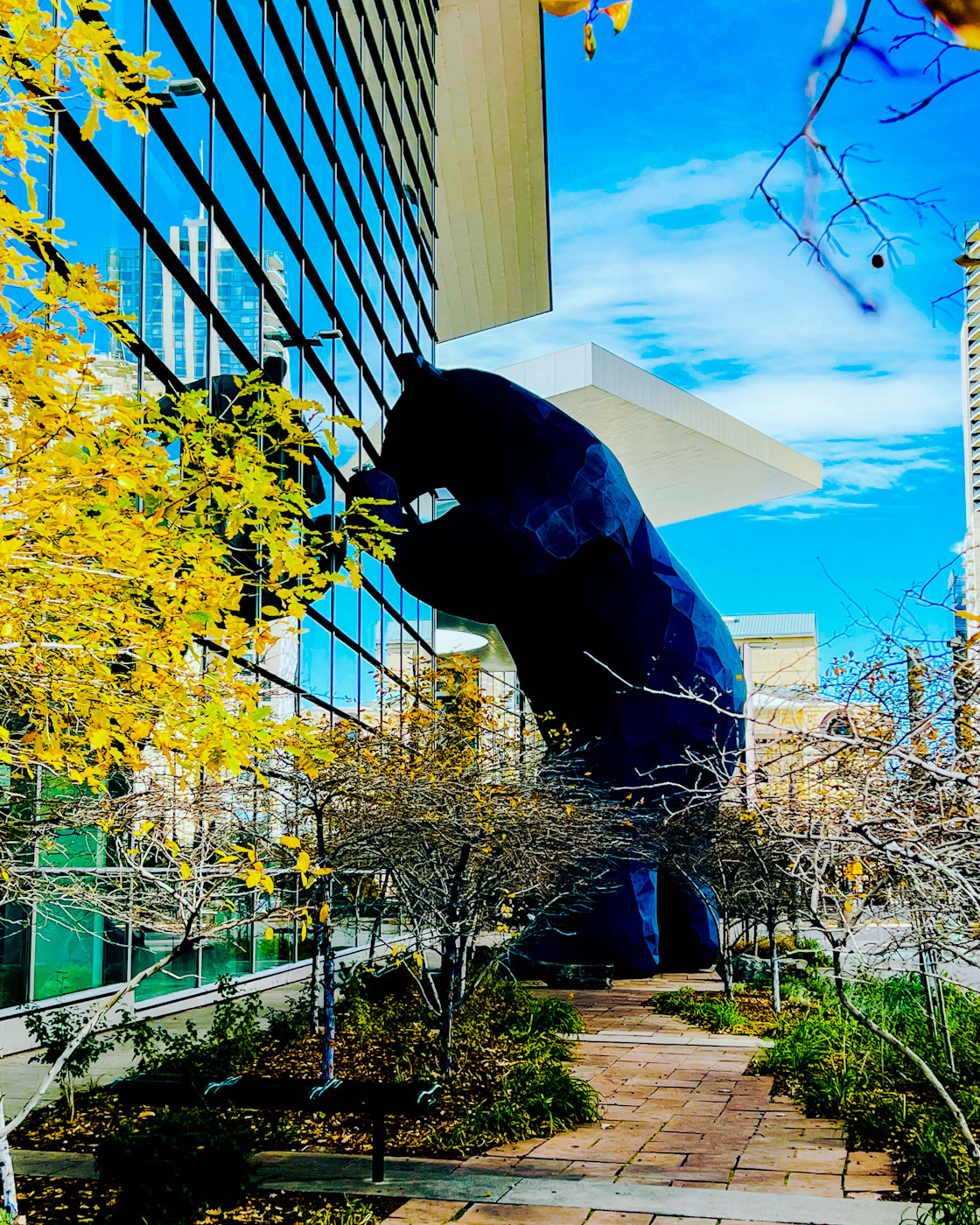 picture of bear looking into glass windows of the Denver Convention Center